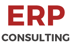 ERP Consulting Service